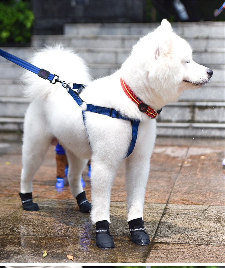 Zapatitos de Goma para Mascota