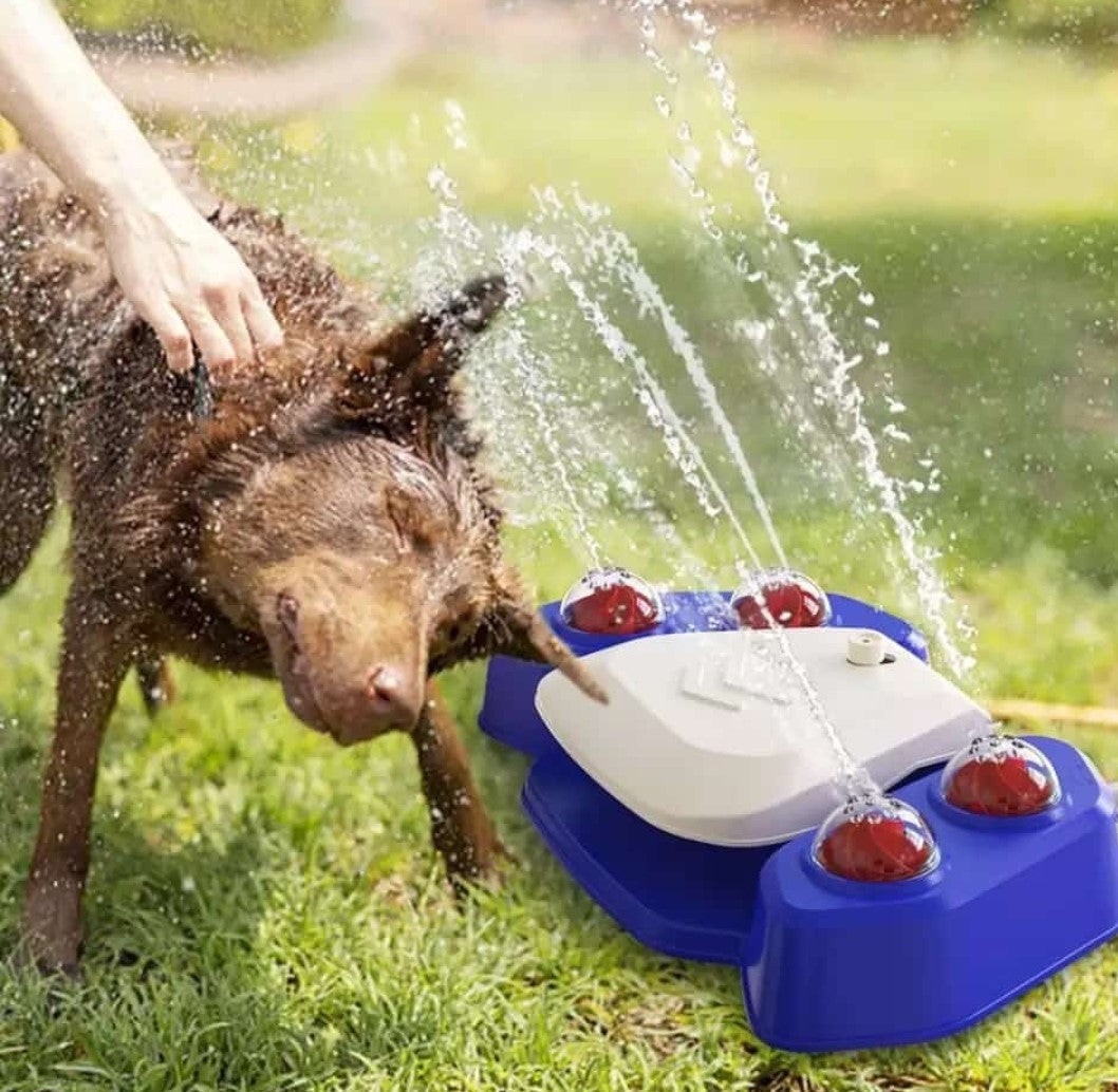 Fuente de Agua al Aire Libre para Perros